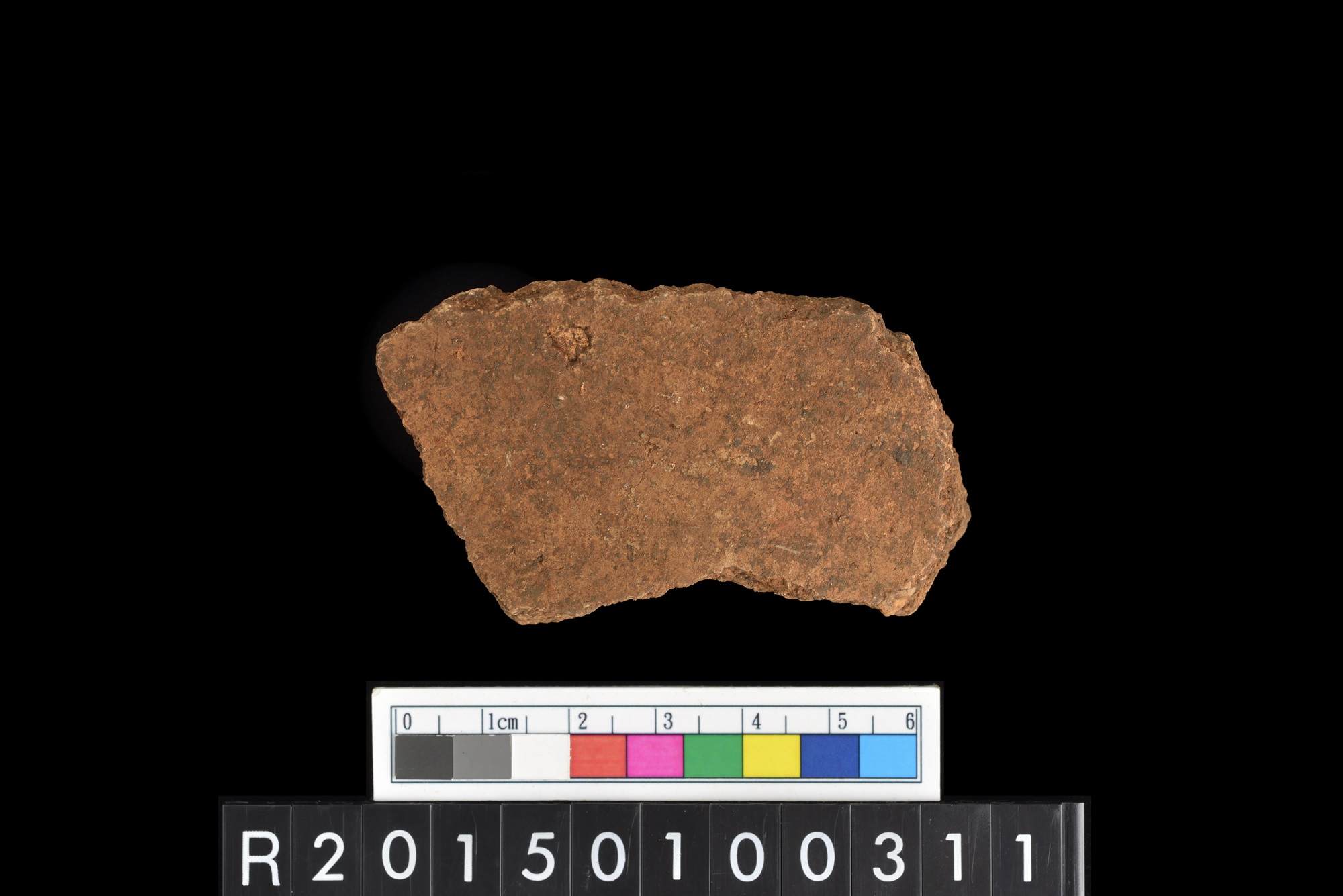 陶片/Pottery sherd