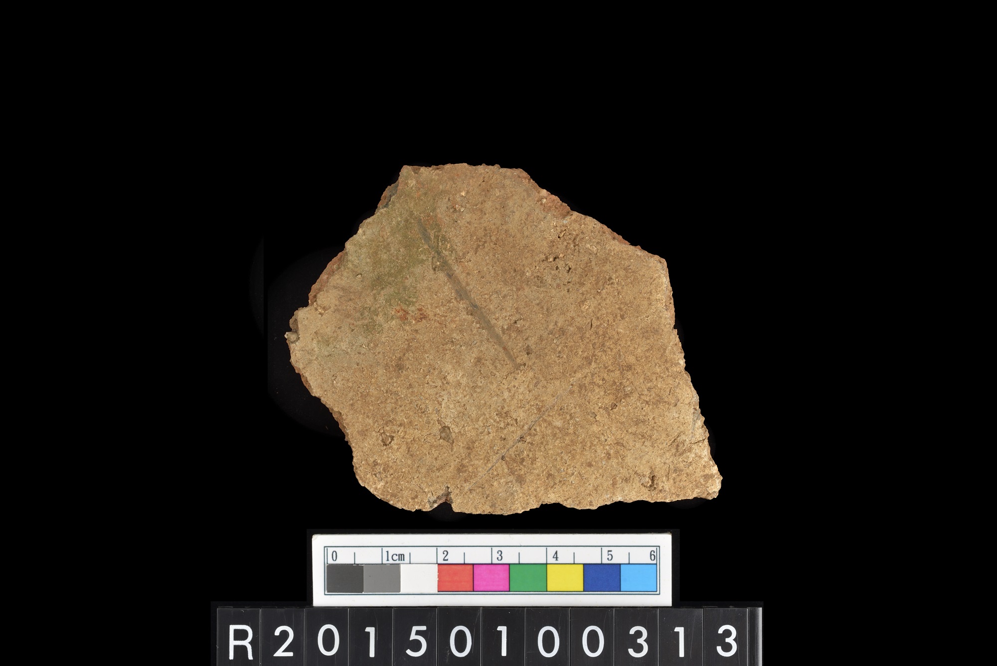陶片/Pottery sherd