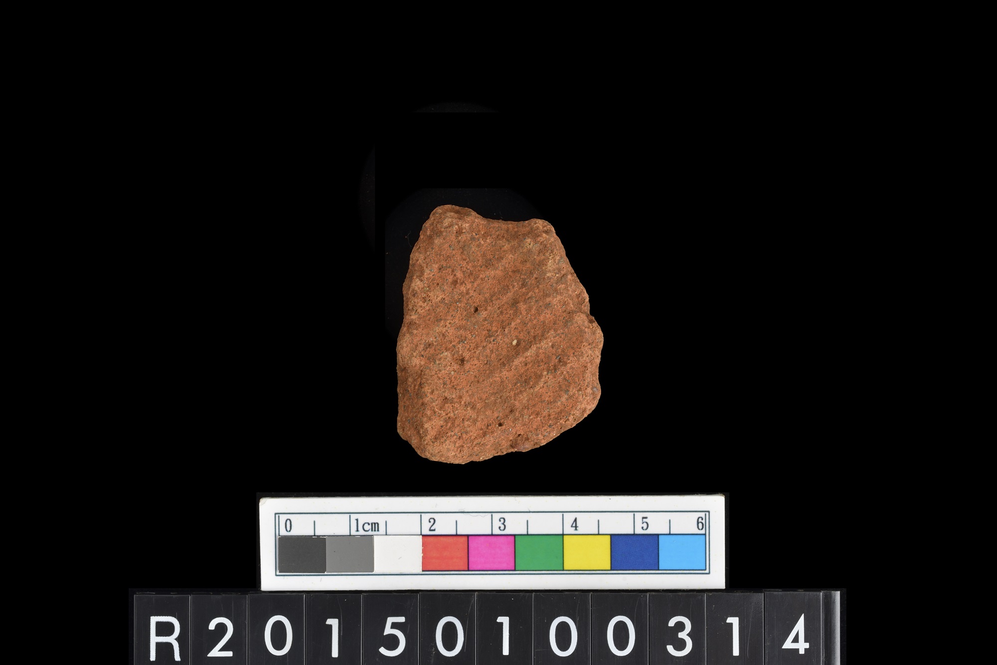 陶片/Pottery sherd