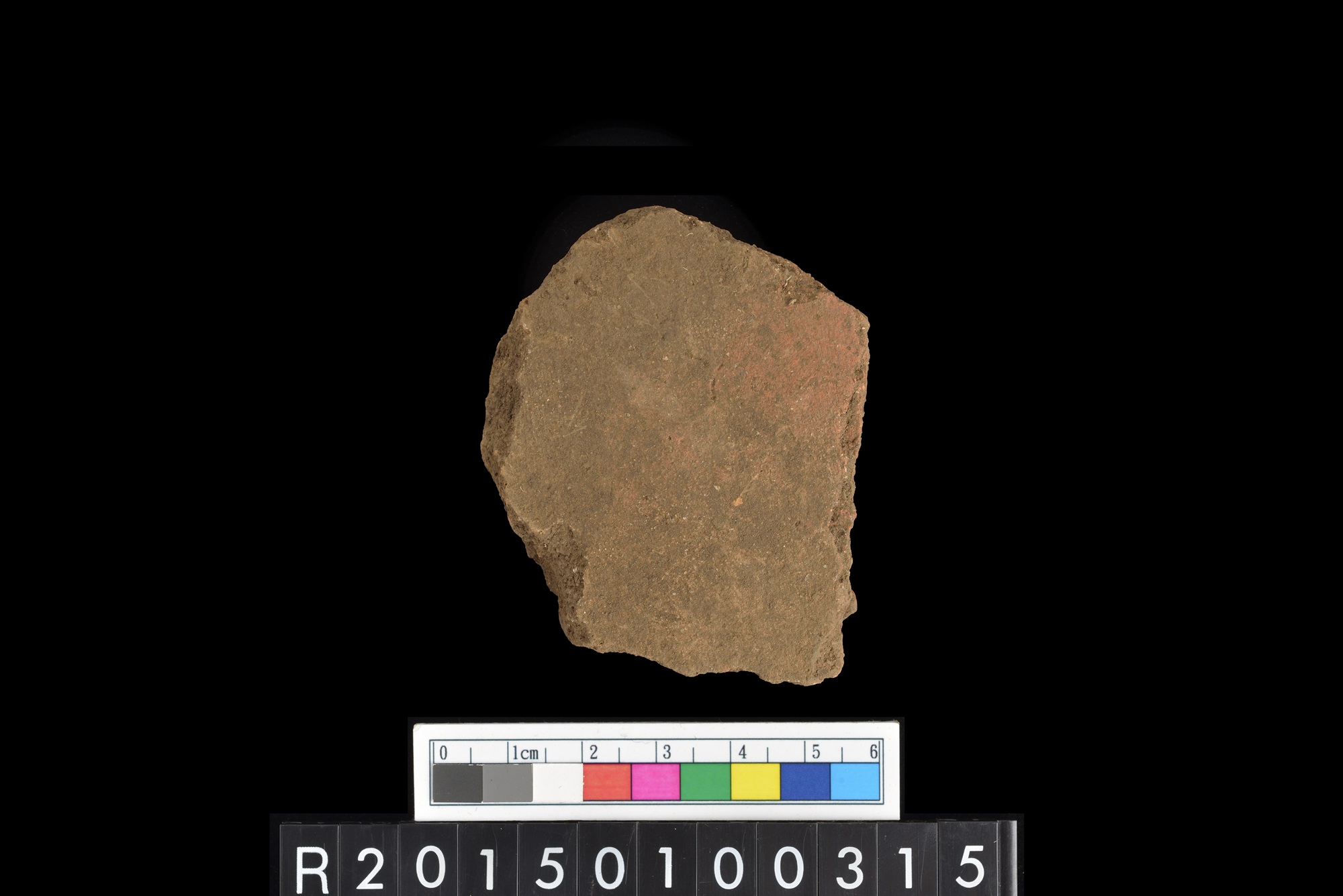 陶片/Pottery sherd