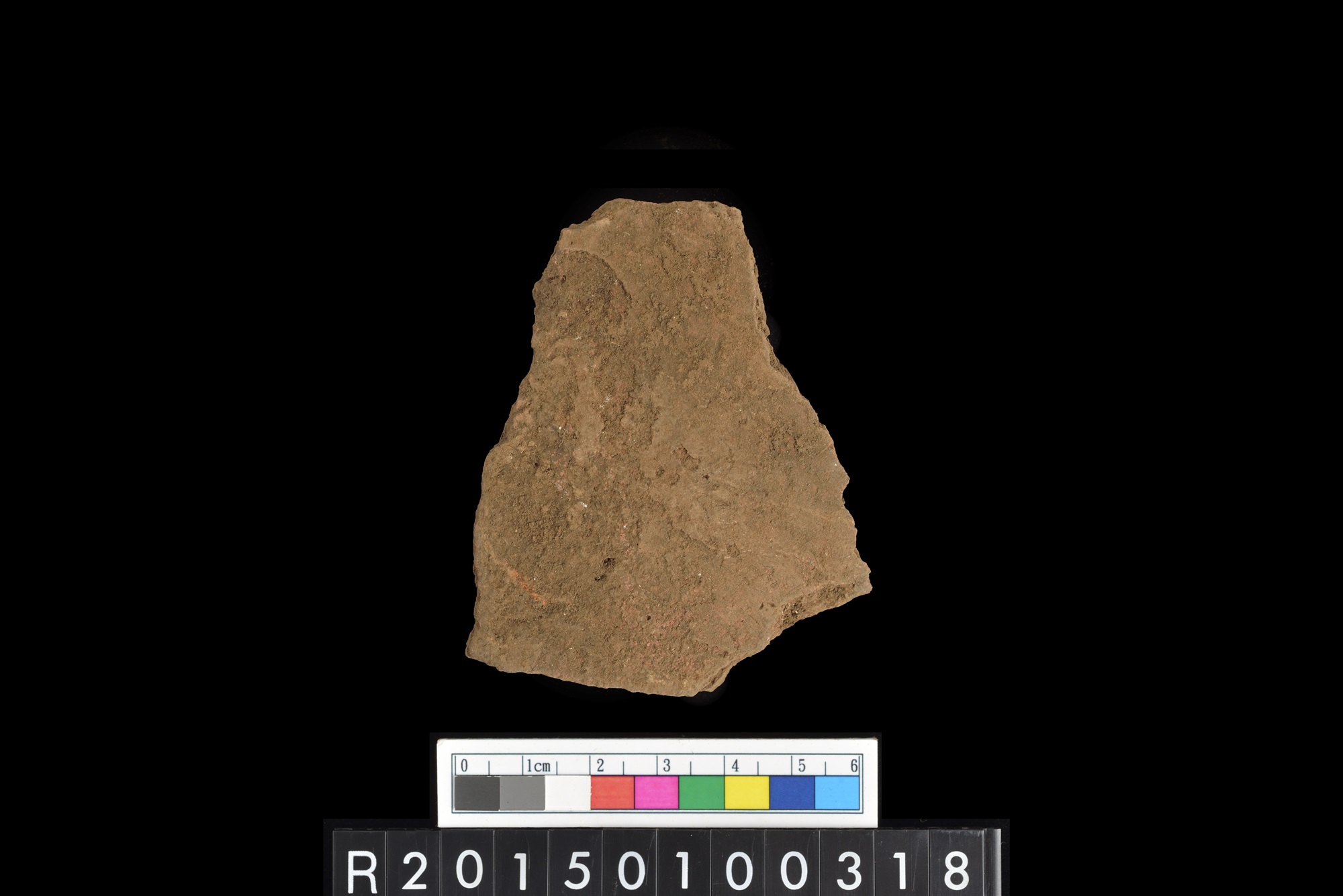 陶片/Pottery sherd