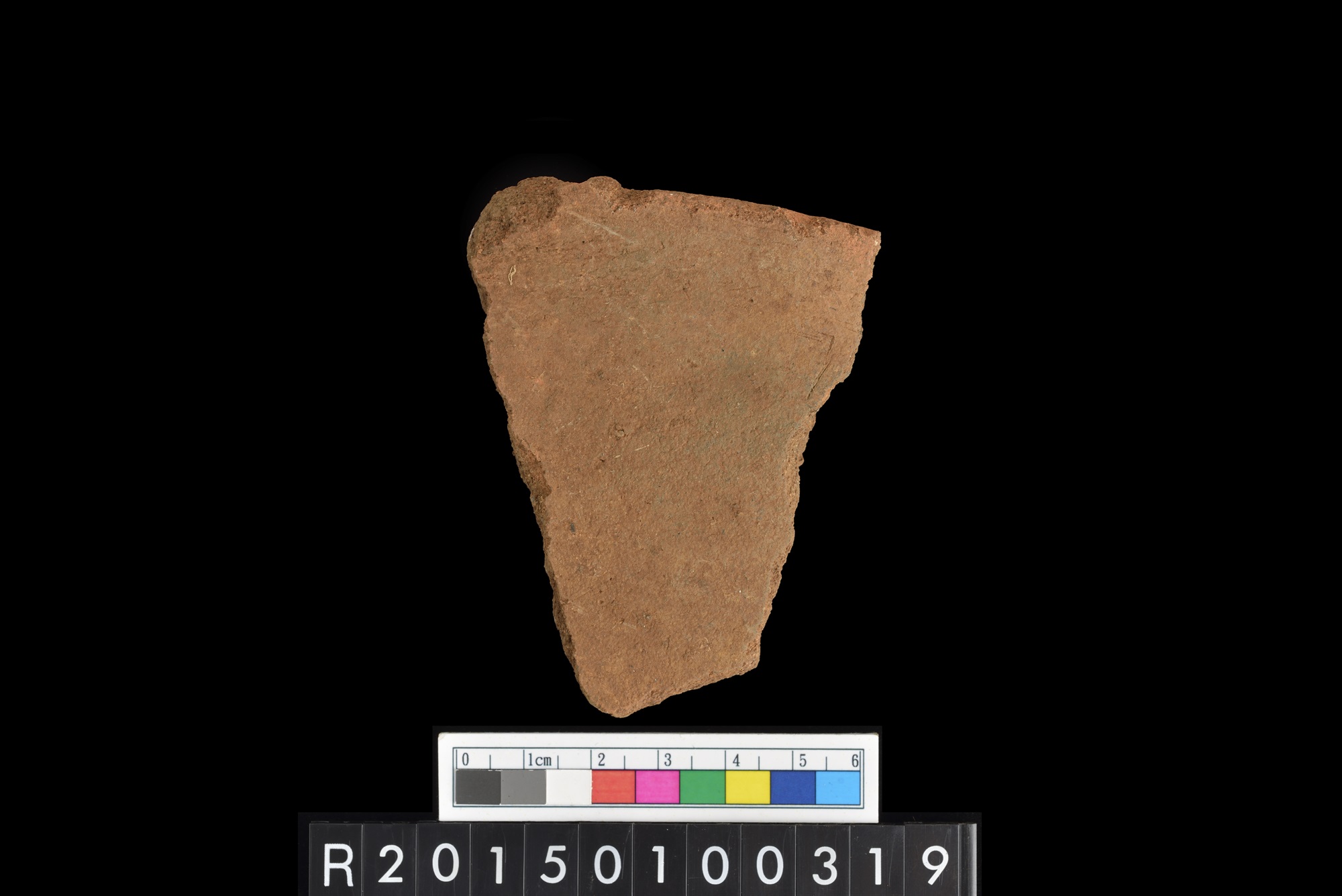陶片/Pottery sherd