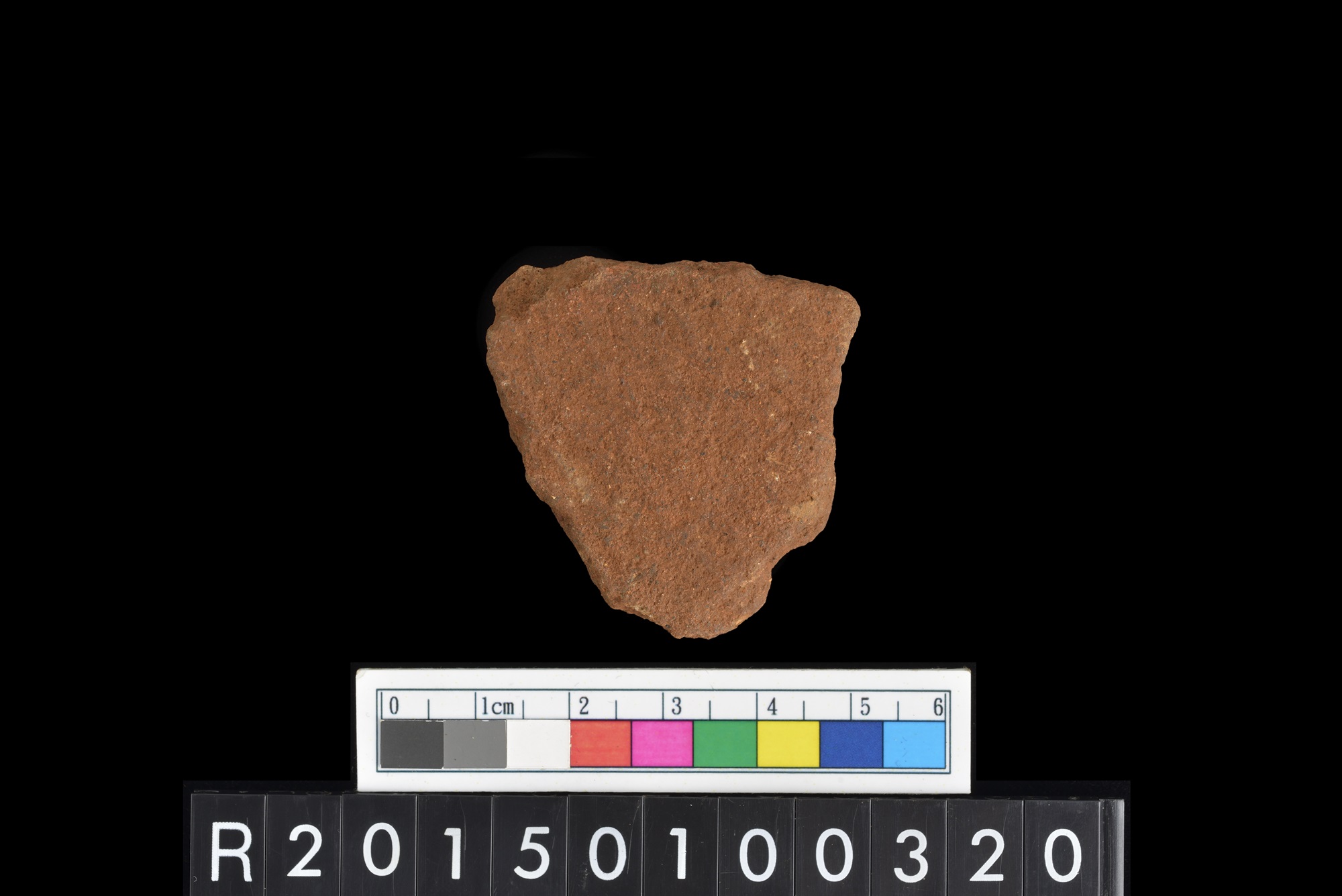 陶片/Pottery sherd