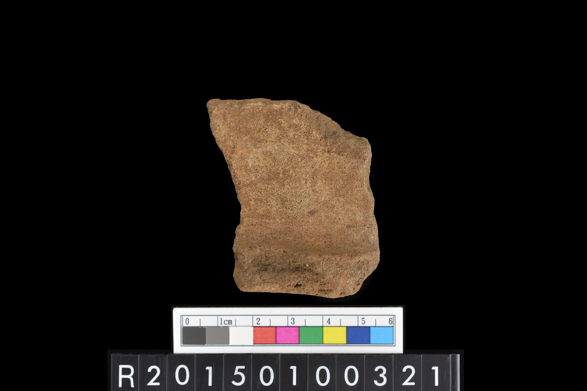 陶片/Pottery sherd