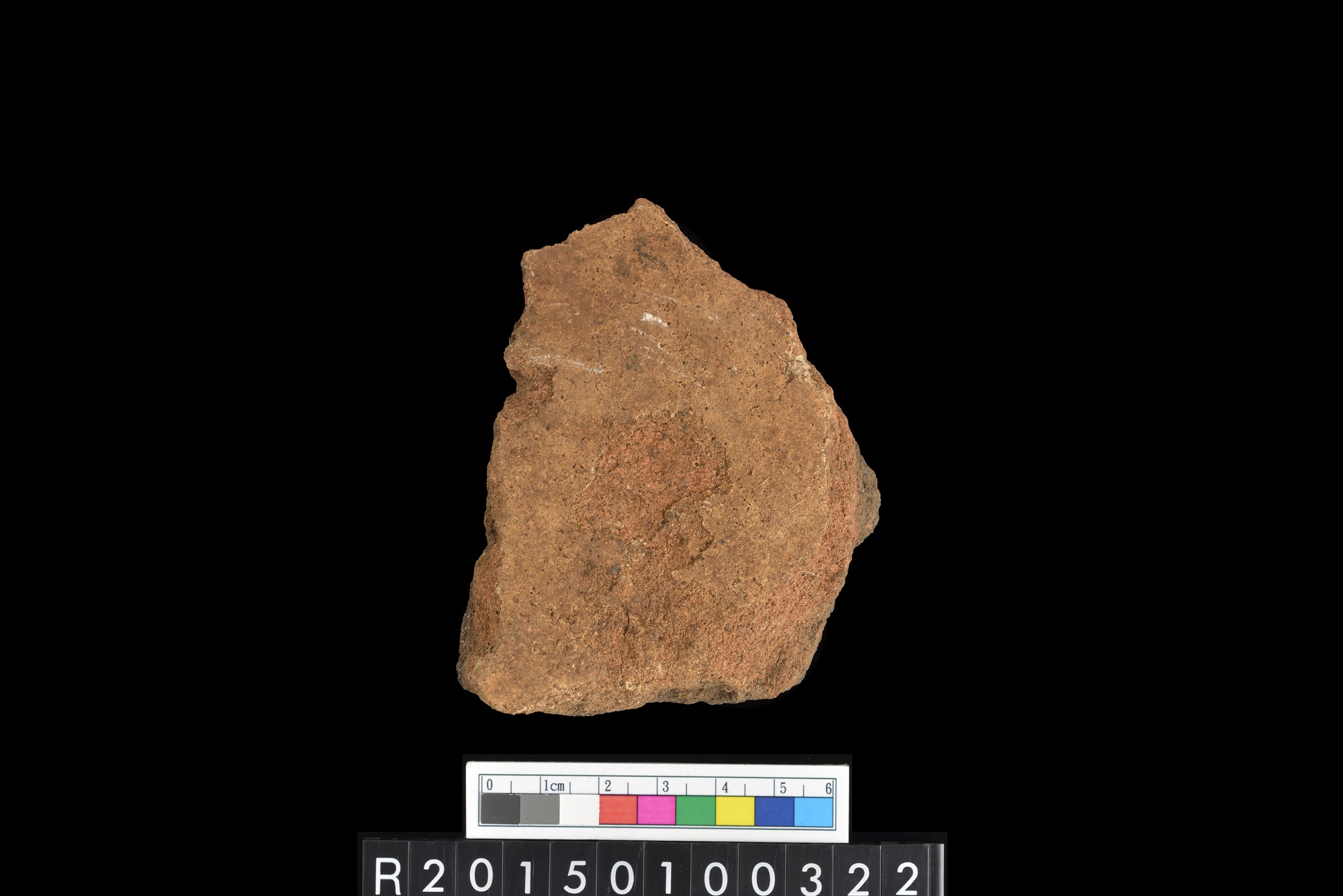 陶片/Pottery sherd
