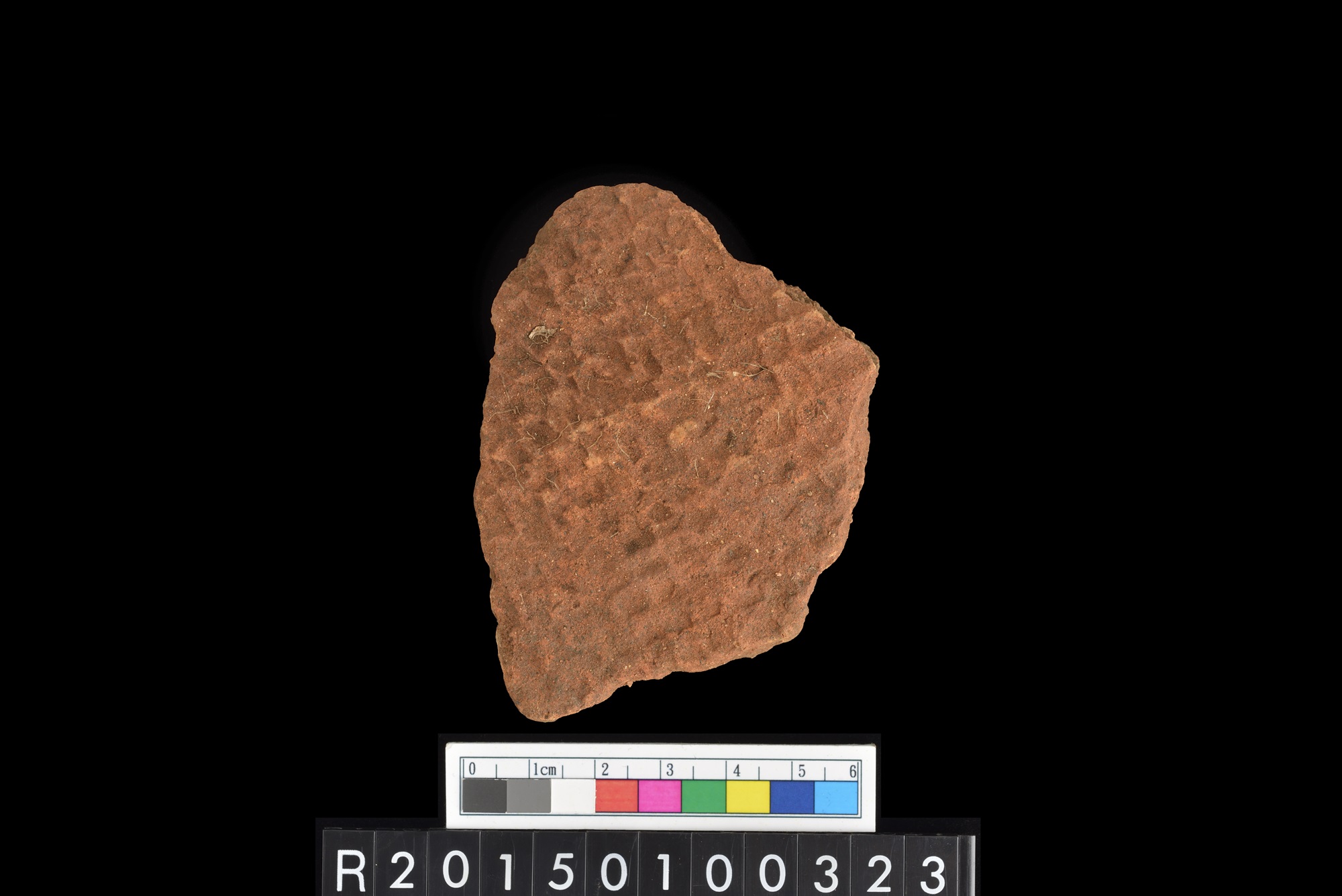 陶片/Pottery sherd