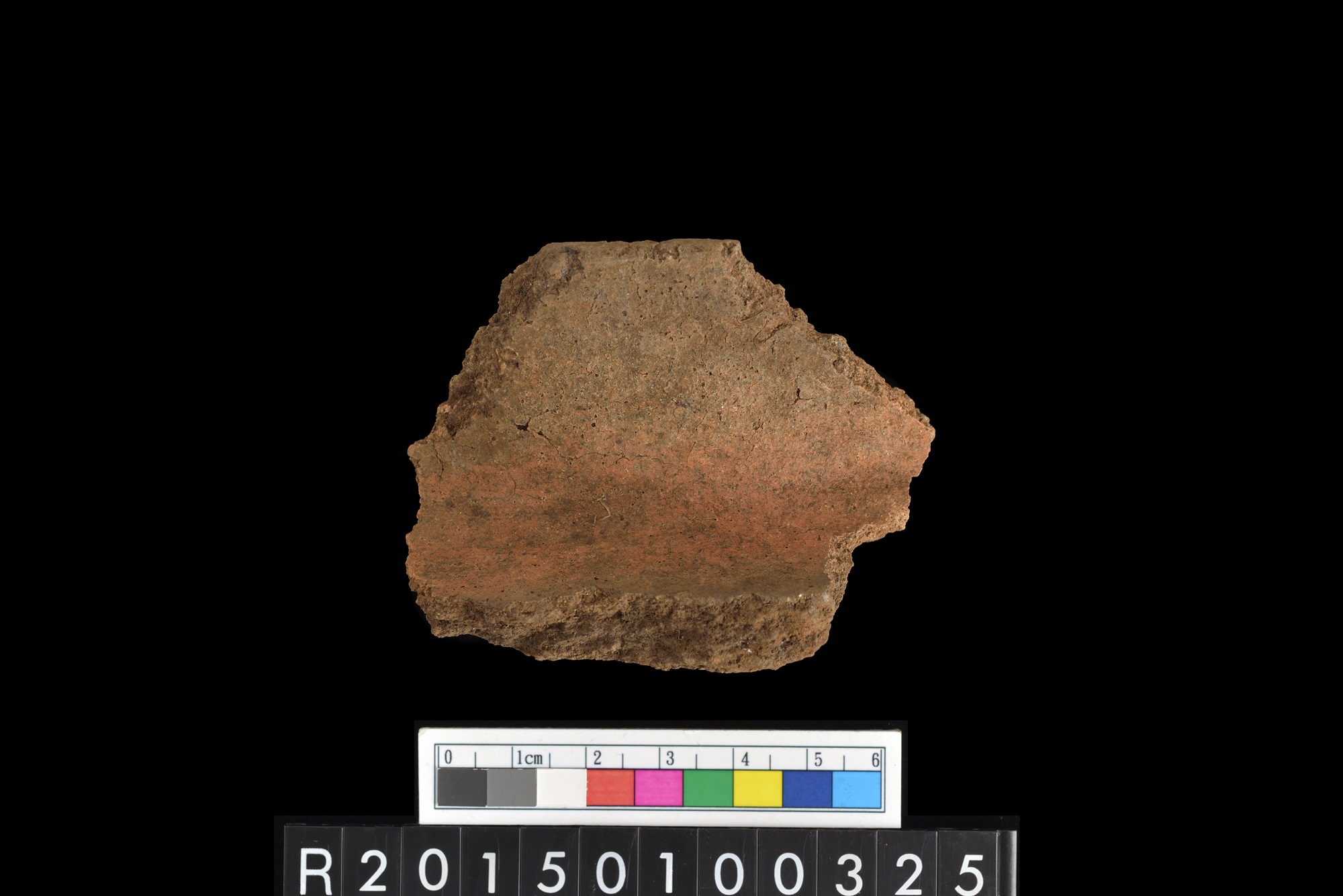 陶片/Pottery sherd