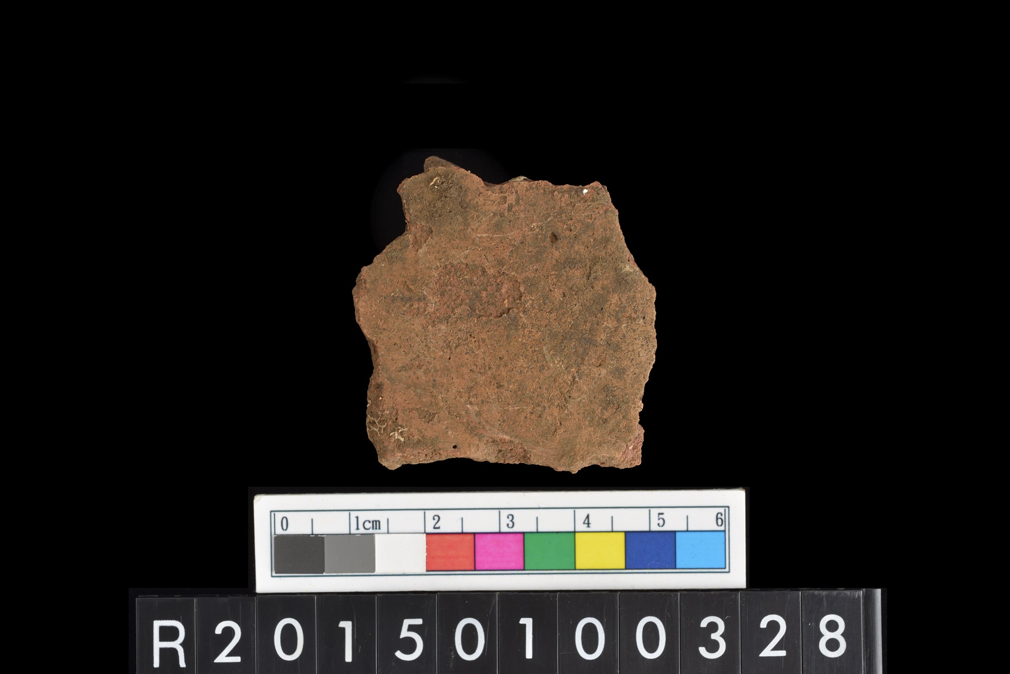 陶片/Pottery sherd