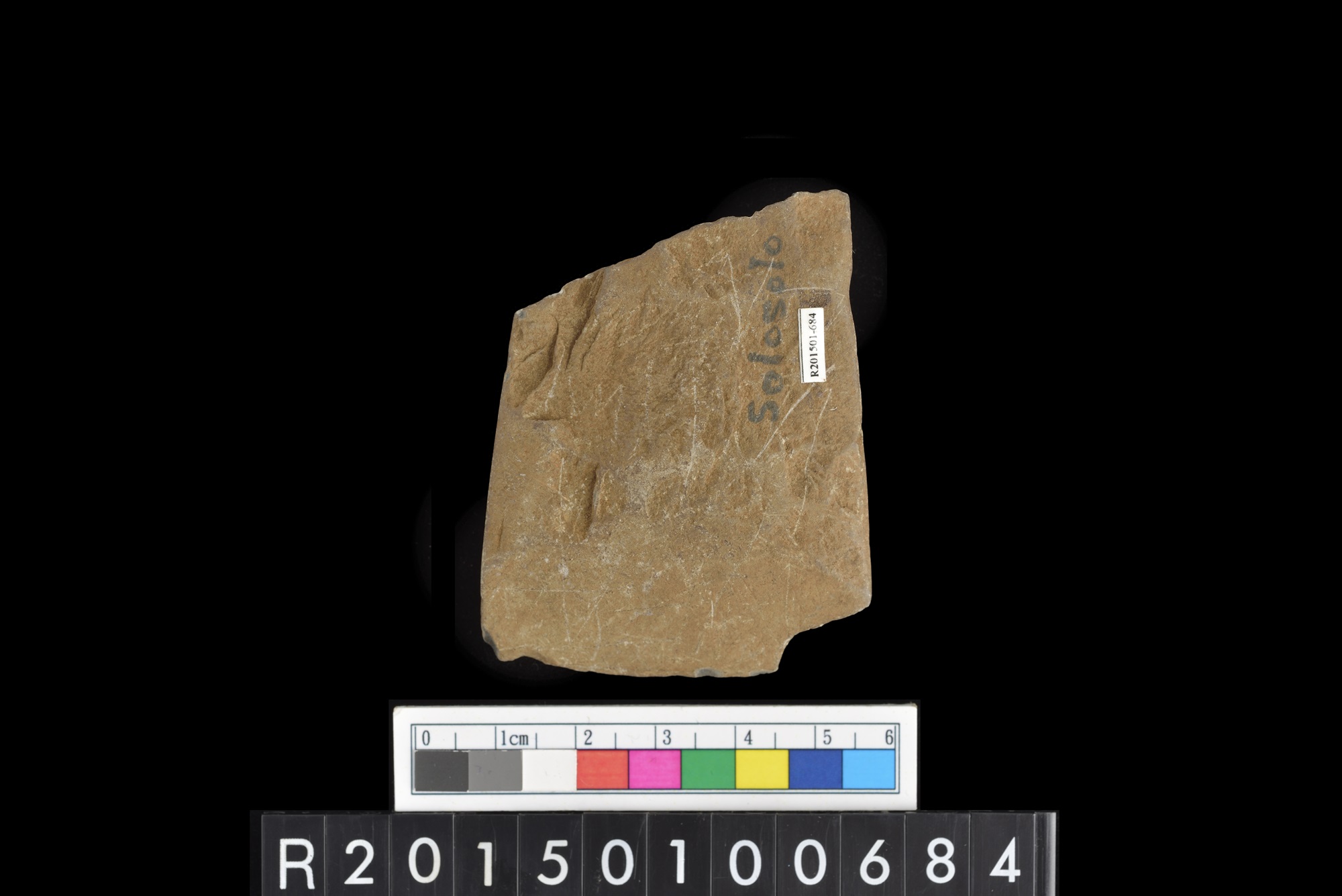 石錛/Stone adze