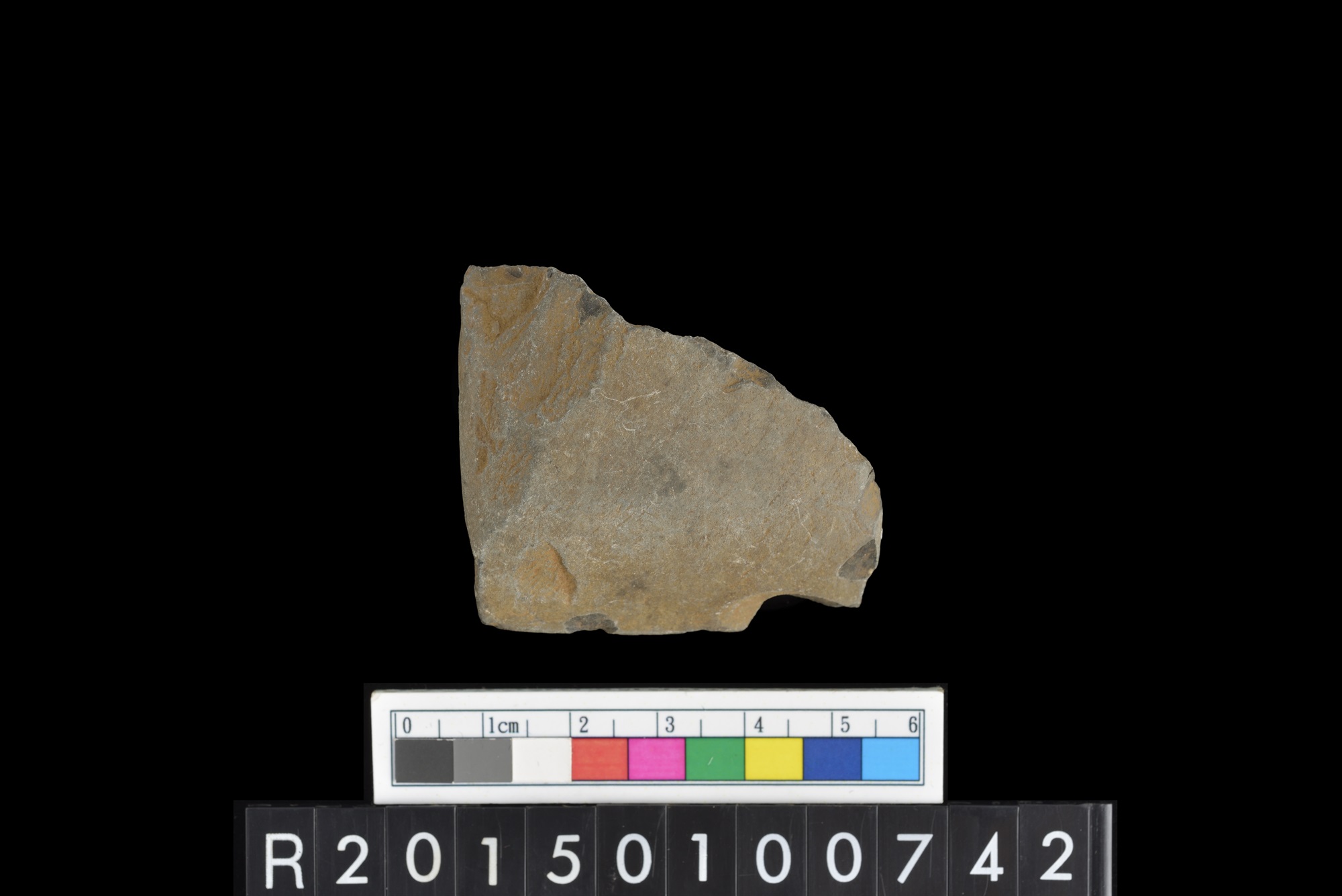 石錛/Stone adze