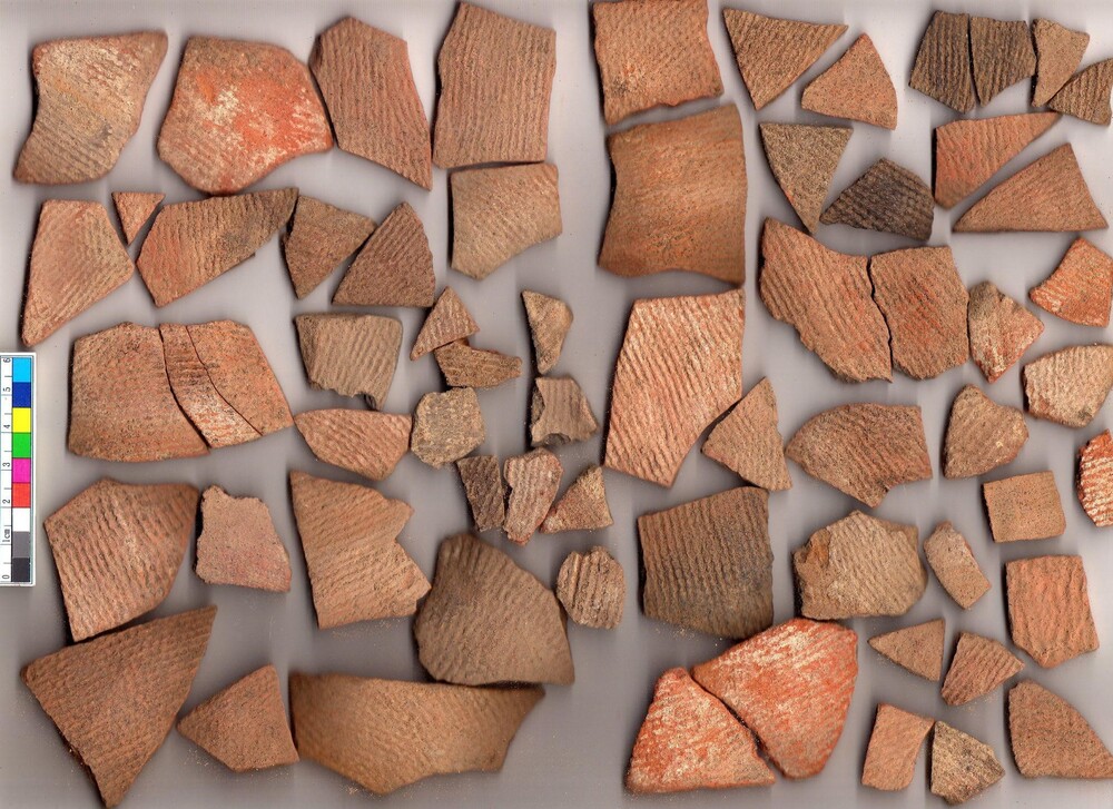 穿越千年的史前文物──從陶片分類看史前陶容器