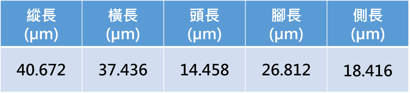 量測資料圖檔