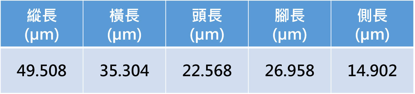 量測資料圖檔