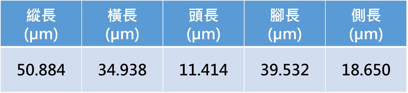 量測資料圖檔