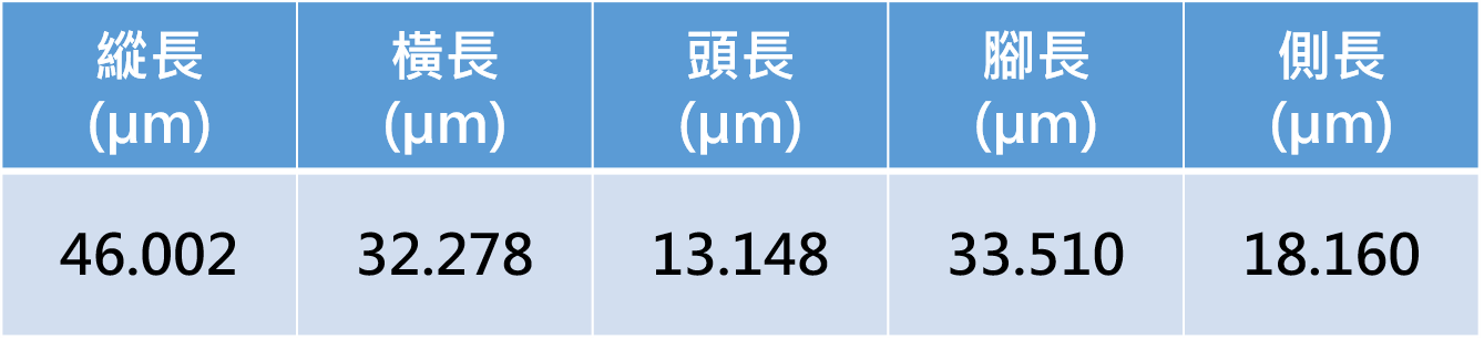 量測資料圖檔