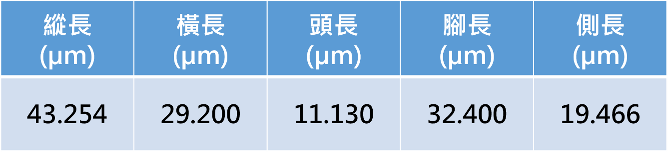 量測資料圖檔