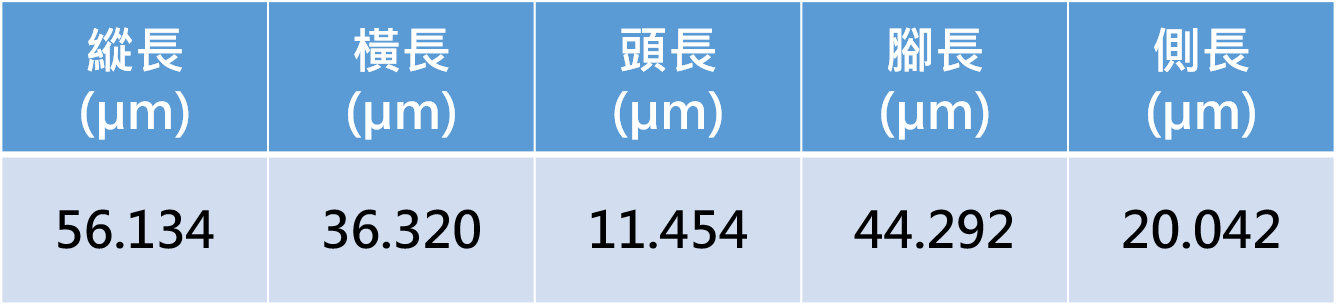 量測資料圖檔