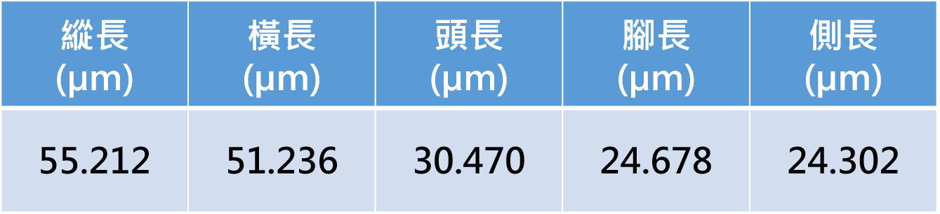 量測資料圖檔