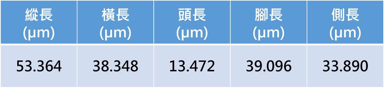 量測資料圖檔