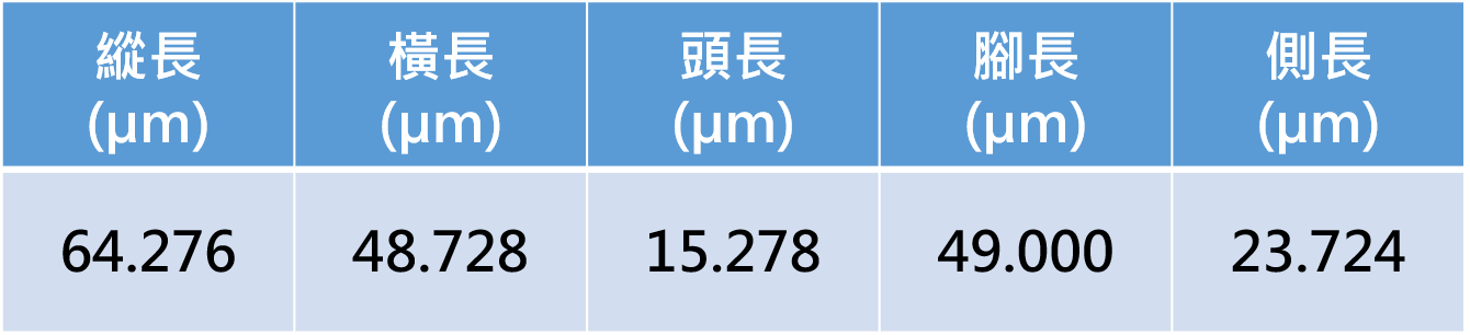 量測資料圖檔