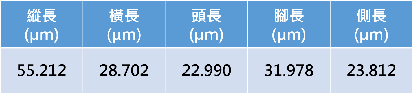 量測資料圖檔