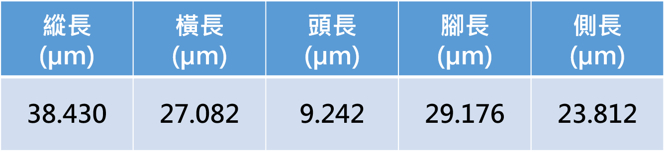 量測資料圖檔