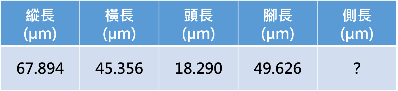 量測資料圖檔