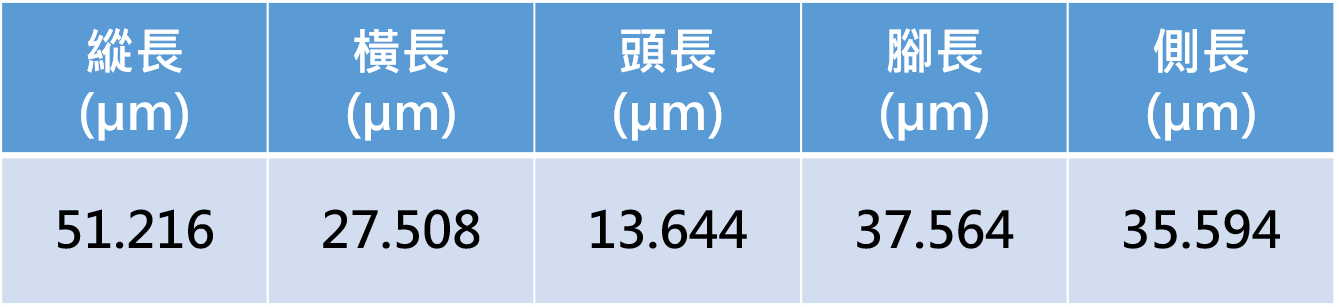 量測資料圖檔