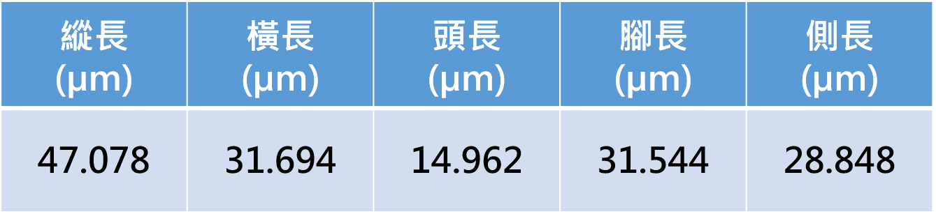 量測資料圖檔