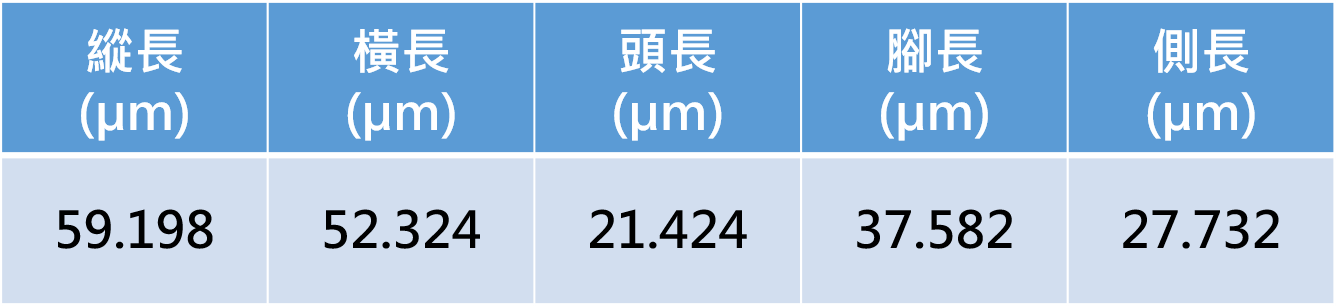 量測資料圖檔