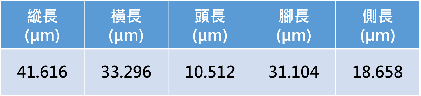 量測資料圖檔