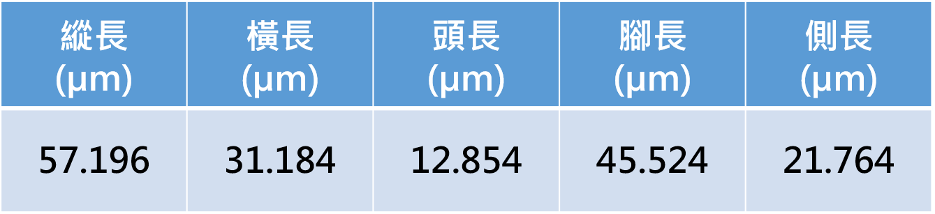 量測資料圖檔