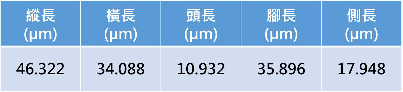 量測資料圖檔
