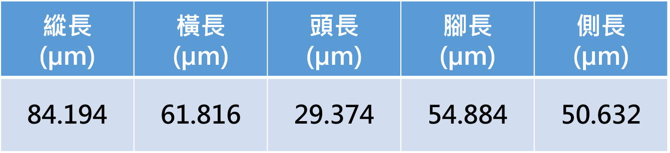 量測資料圖檔