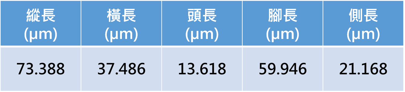 量測資料圖檔