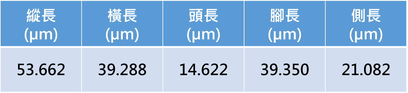 量測資料圖檔