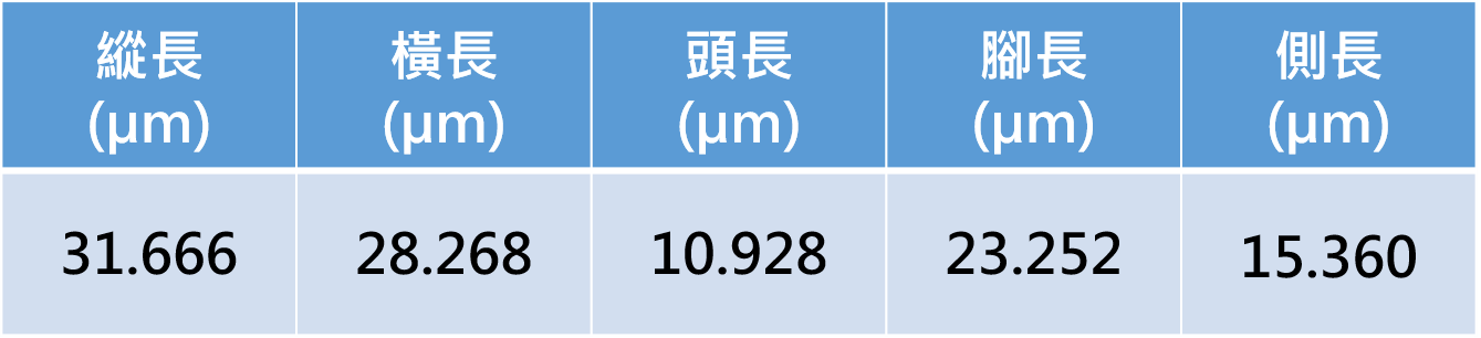 量測資料圖檔