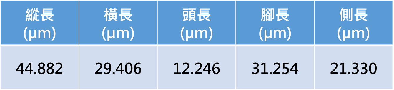 量測資料圖檔