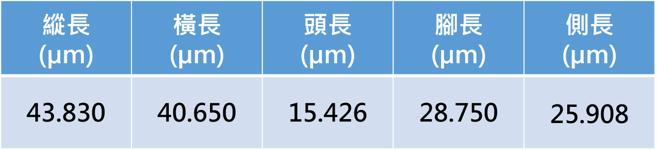 量測資料圖檔