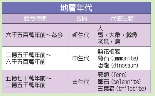 表1：地層年代與代表性化石