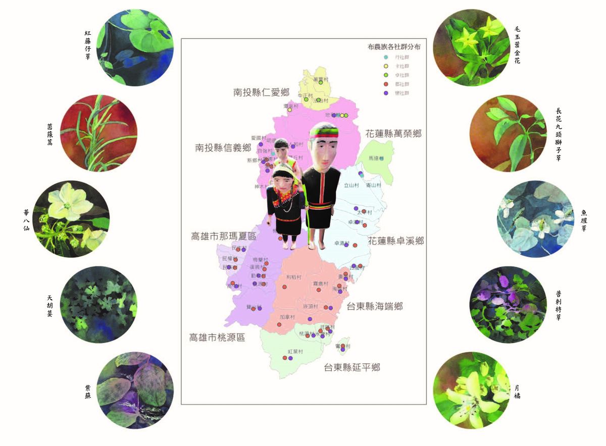 圖1布農族抗瘧草藥類型