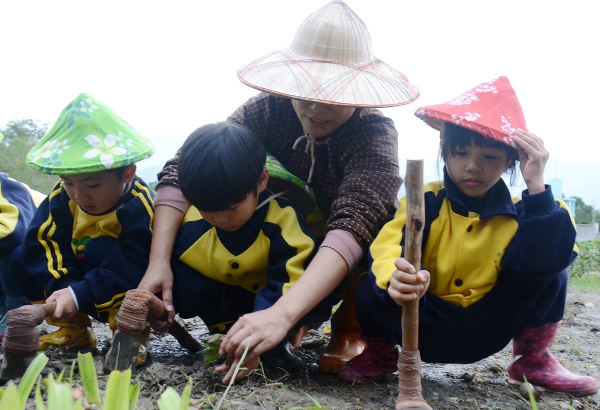 小朋友們細心的種下紅藜幼苗，期待藜長大