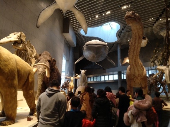 「生命長河」展區讓參觀者身處大型動物之間，也是小朋友最喜歡的展區。