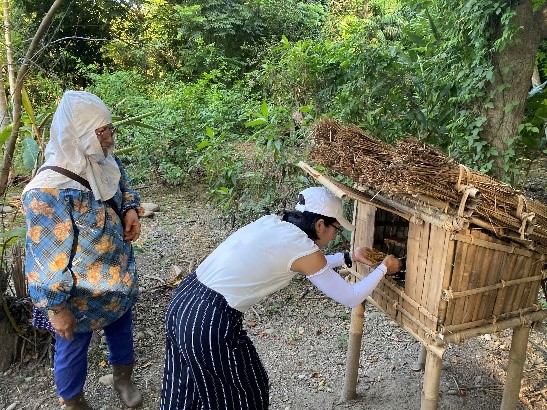 普悠瑪部落的婦女於公園小米田除草、行小米入倉儀式