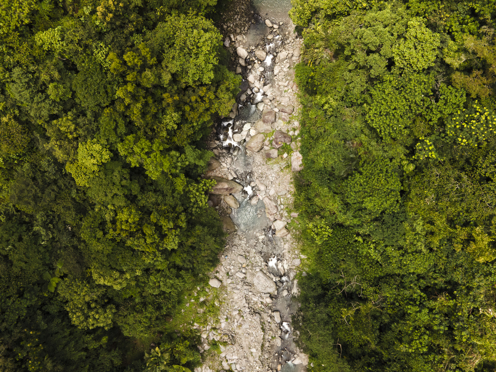 馬遠部落關門古道築路隊走回祖居地的沿途景象