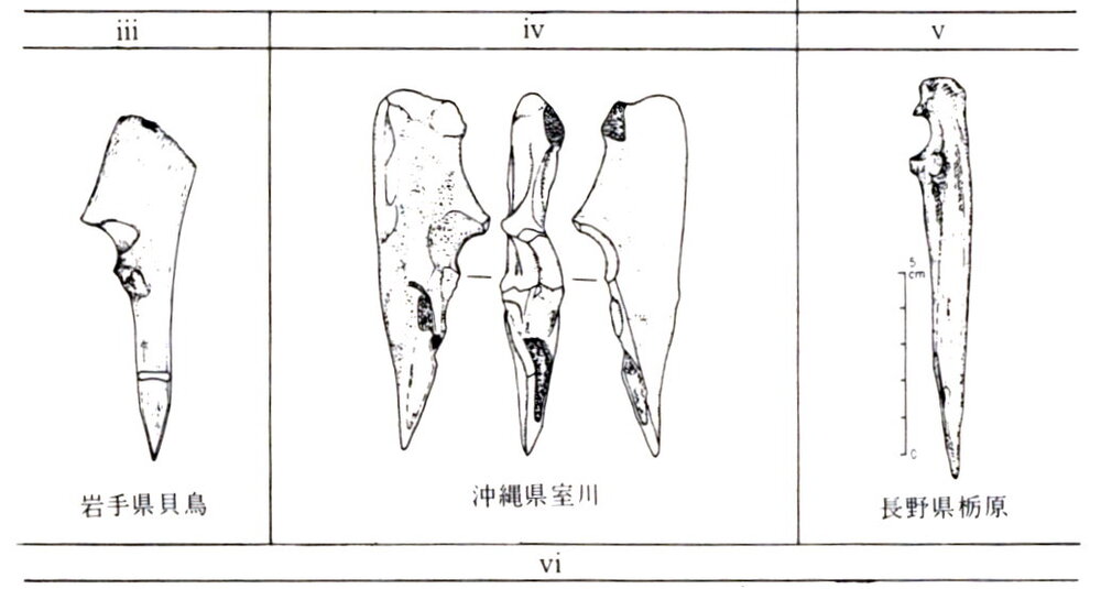 日本出土的尺骨尖器左側為鹿尺骨、中央為豬尺骨、右側為彌猴尺骨