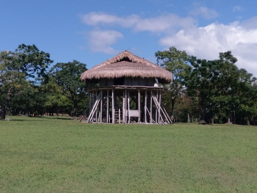 卑南遺址公園青青大草坪上，矗立一座干欄式高架屋，是卑南族少年會所型態的建築物，大約高9米