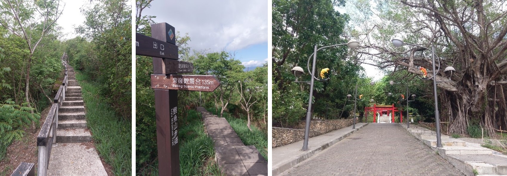 鯉魚山綠樹如蔭景色宜人，有完整的木棧步道，依地形規劃有鯉首、鯉眼、背嶺及鯉尾等觀景平台，視野極佳。