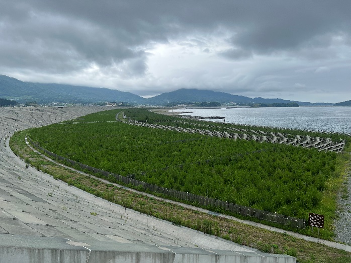 人造堤防重建