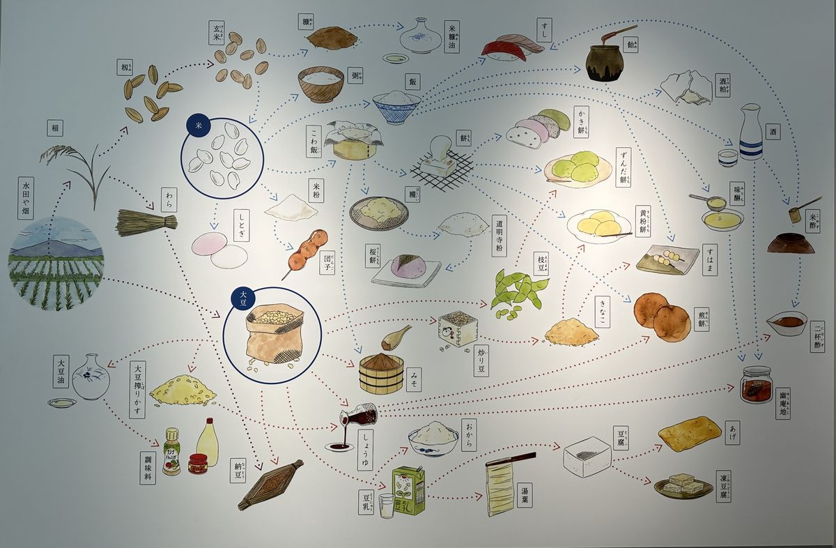 米與大豆展區，一張手繪圖清楚標示兩項單純原料的百變應用